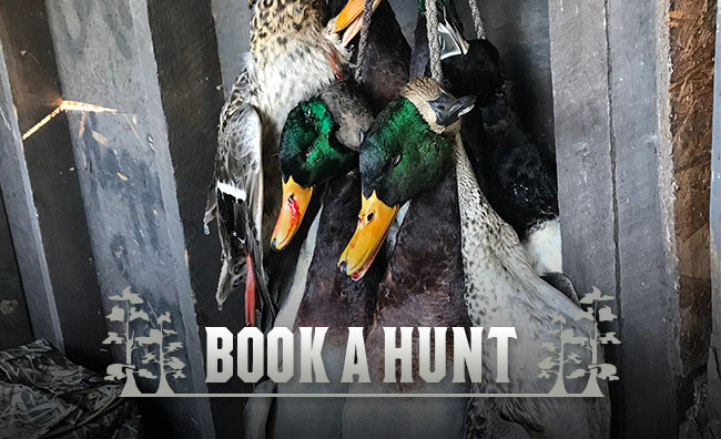 Book a Hunt Book a Hunt with Black River Flyway Hunting Club