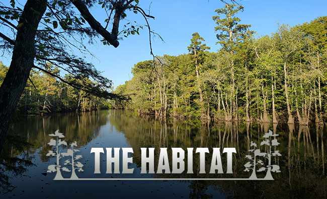The Habitat The Habitat at Black River Flyway Hunting Club