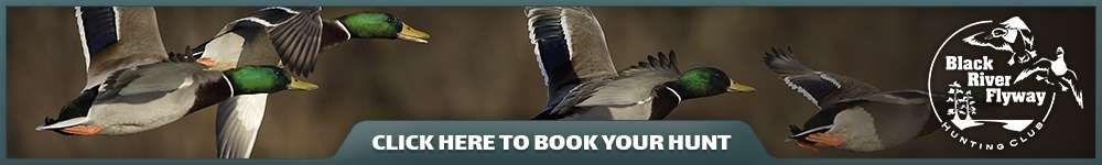 Book Your Hunt Book Your Hunt